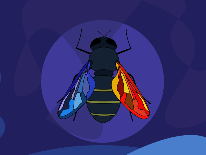 Пчеловидка с витражными крыльями