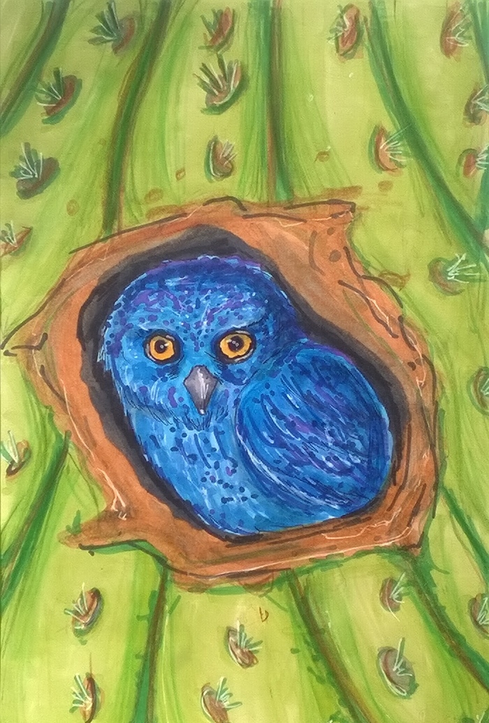 Маленький сыч