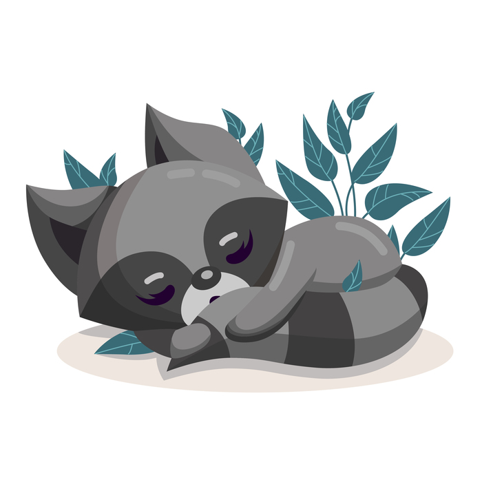 Спящий енотик