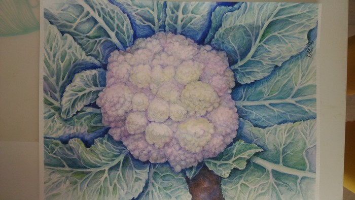 огородные кружева