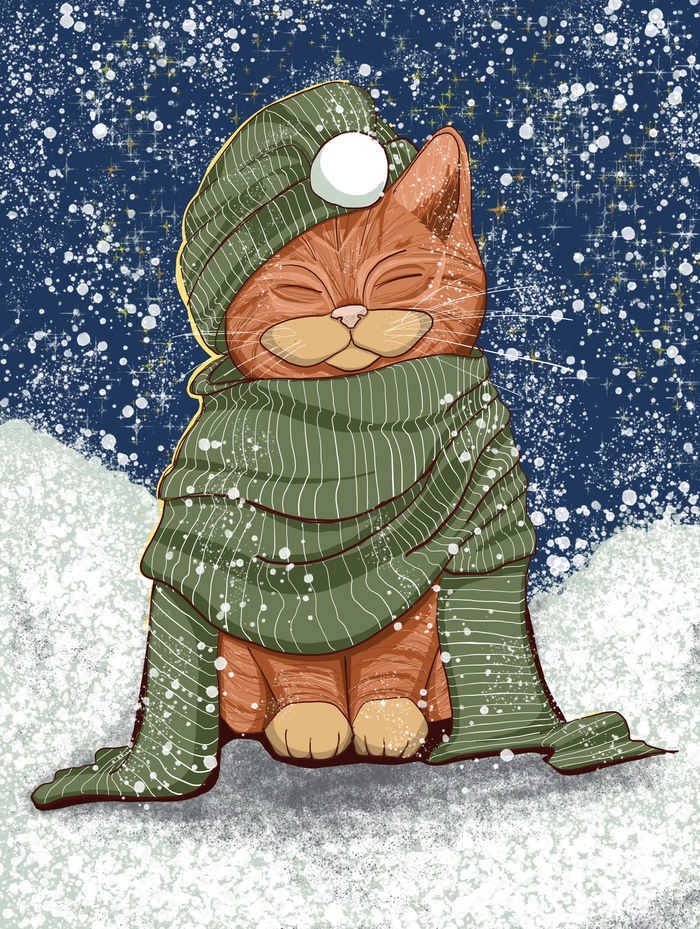 Кот на снегу