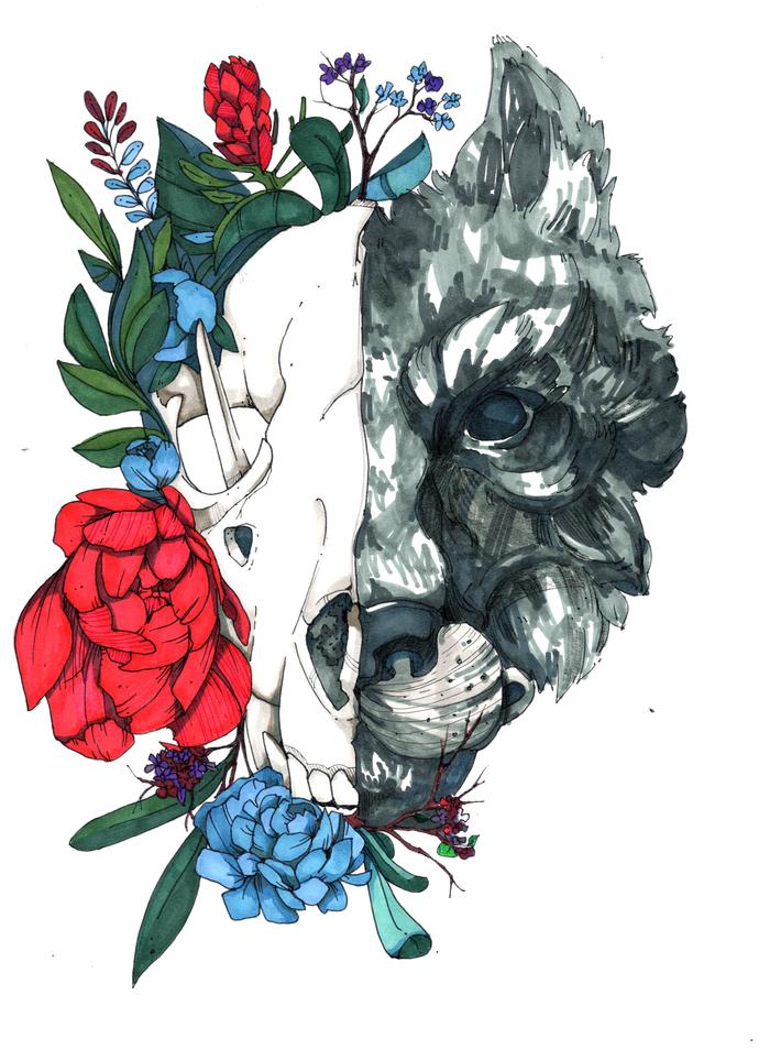 Серия Life or Death