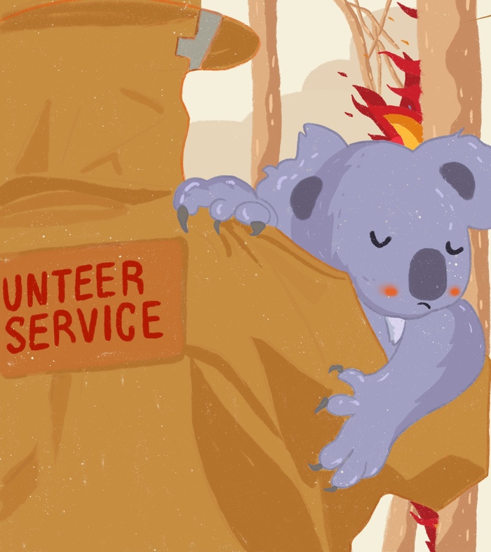 Иллюстрация посвящена пожарам в Австралии