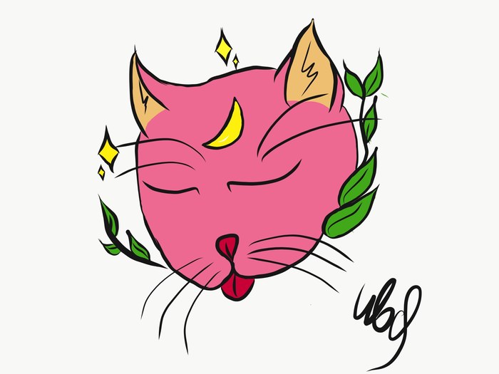 PinkCat