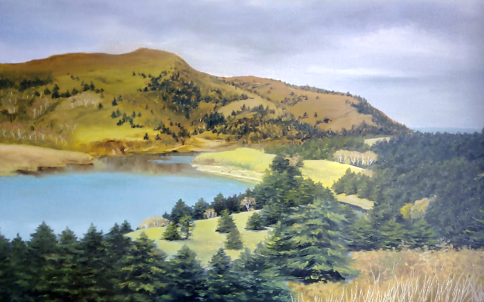 0стров Шикотан, бухта Отрадная