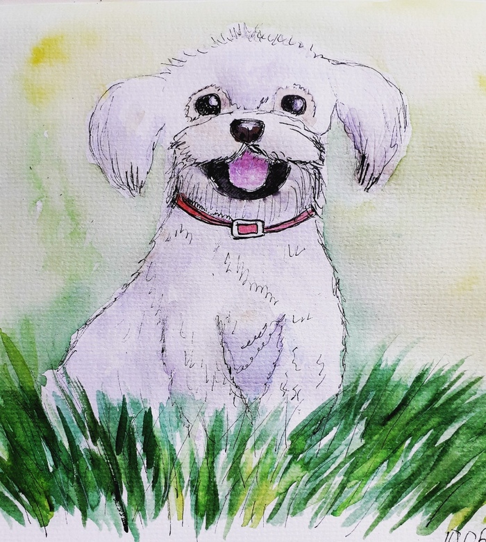 смешной щенок