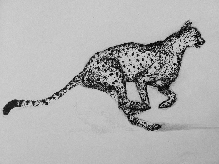 Точечная графика