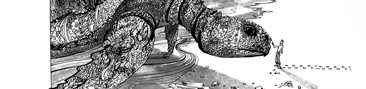 Main maksenkova nature turtlevvvv2