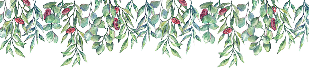 Main eucaliptus banner