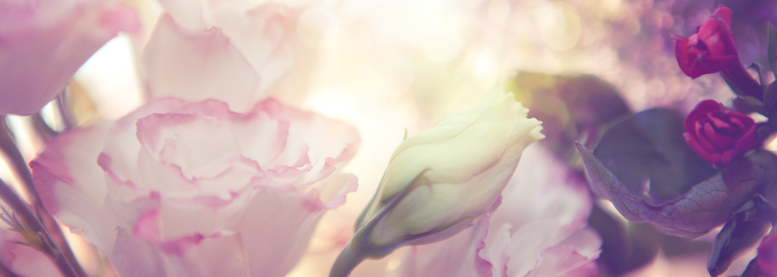 Main shutterstock 80203453 edited