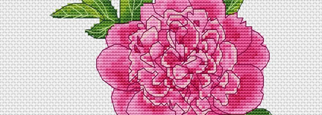 Main %d0%9f%d0%b8%d0%be%d0%bd 16 %d0%9f%d1%82%d0%b8%d1%86%d0%b0 %d0%95%d0%bb%d0%b5%d0%bd%d0%b0 12.08