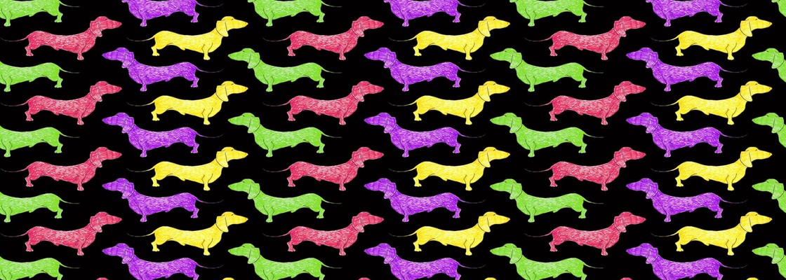 Main colorful dachshund pattern on a black backdrop
