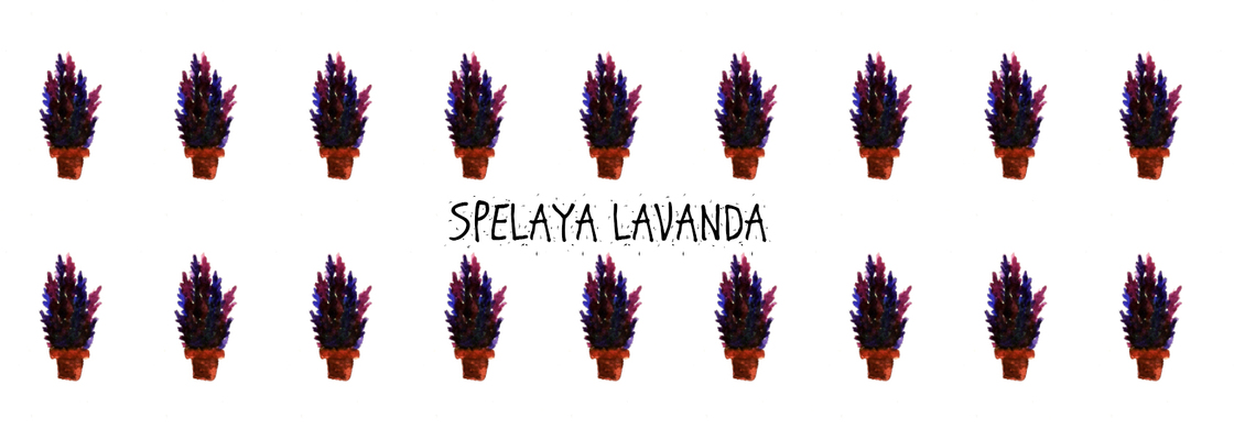 Main spelaya