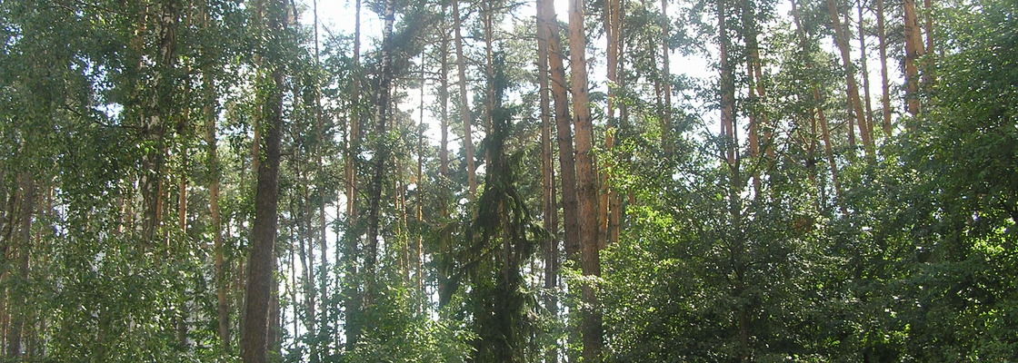 Main p1010205