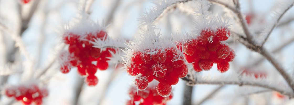 Main beautiful winter photos 25