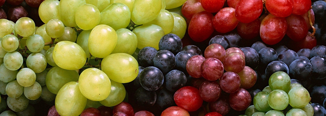 Main grapes variety sweet fruit 70303 3840x2400