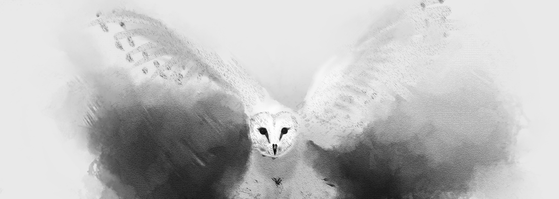 Main owllll