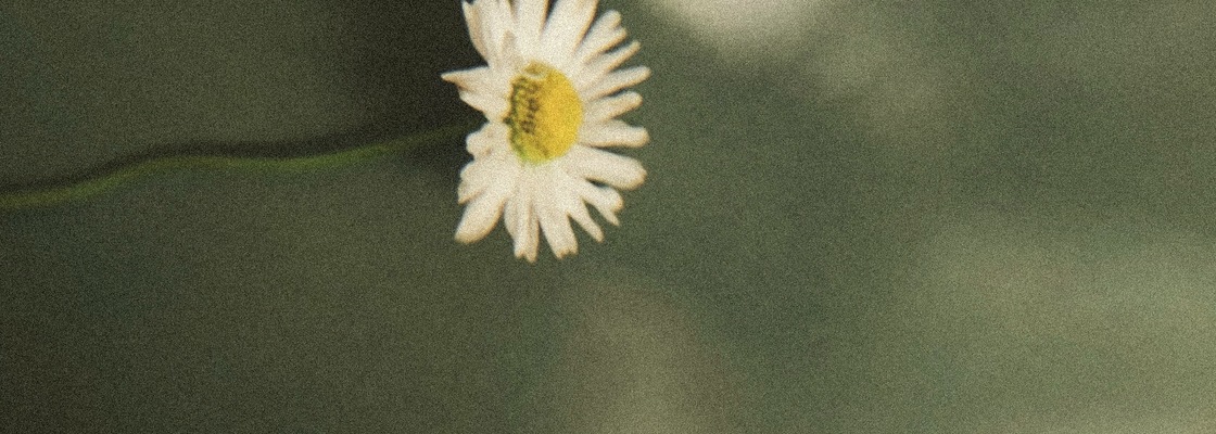 Main 655af81f 13fe 435b ab75 c09d16aec97b