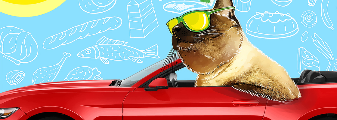 Main %d0%9a%d0%9e%d0%a2%d0%ad