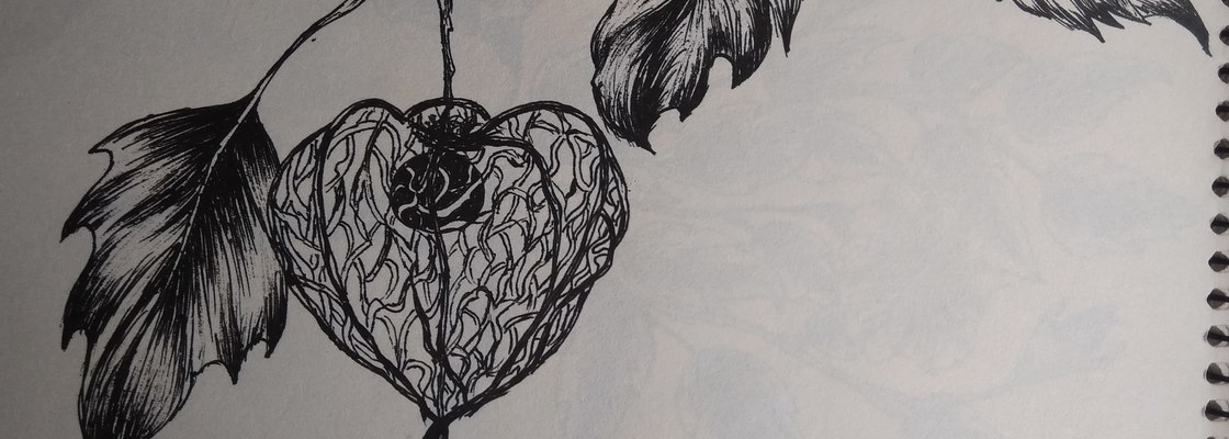 Main img 20181012 085531