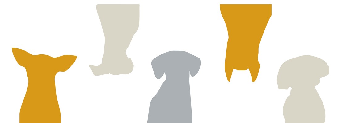 Main %d1%84%d0%be%d0%bd