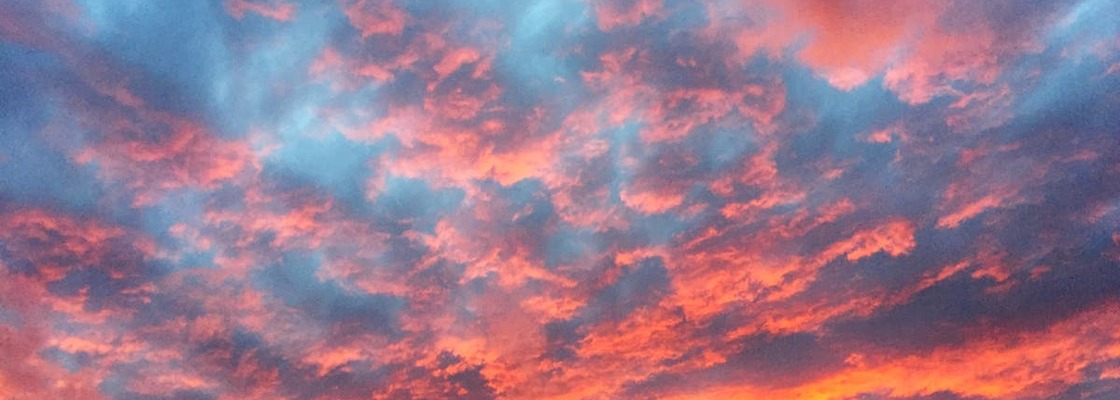 Main 5c684859dfe8b168f75a9f3d