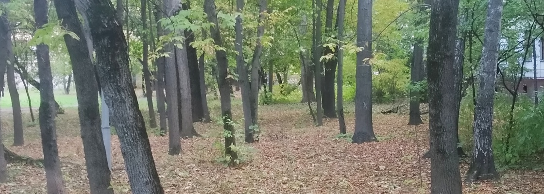 Main img 20190926 163916