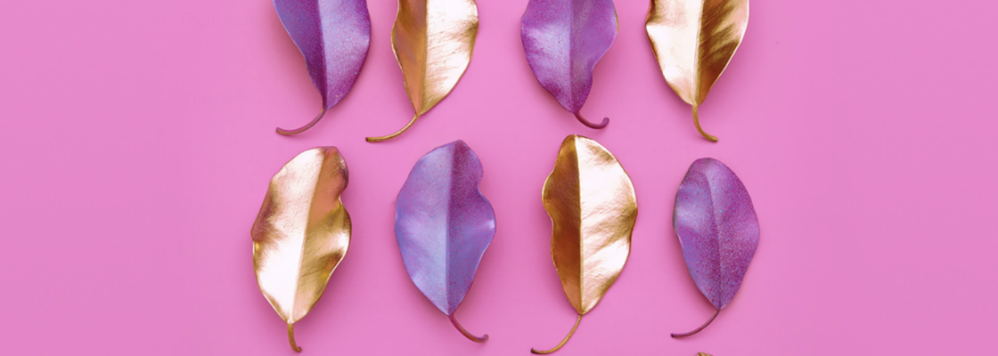 Main 875dd26e 2c84 46c9 b1bf 711cf75f1194