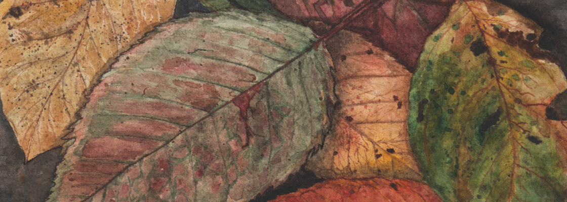 Main %d0%be%d0%b1%d0%b4%d0%be%d0%b6%d0%ba%d0%b0 %d0%b8%d0%bb%d0%bb%d1%8e%d1%81%d1%82%d1%80%d0%be%d1%82%d0%be%d1%80 %d1%80%d1%83