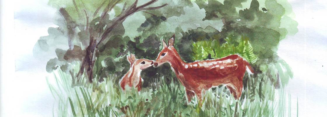 Main %d0%90%d0%bb%d1%8c%d0%b1%d0%be%d1%89%d0%b8%d0%b90005   %d0%ba%d0%be%d0%bf%d0%b8%d1%8f