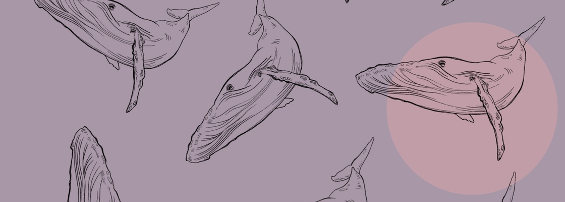 Main 24785520 bd1b 42e5 8b72 acfb5e2a4782