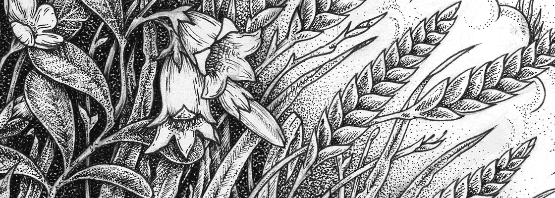 Main %d0%b1%d0%b5%d1%85%d0%b0%d0%bd%d1%81