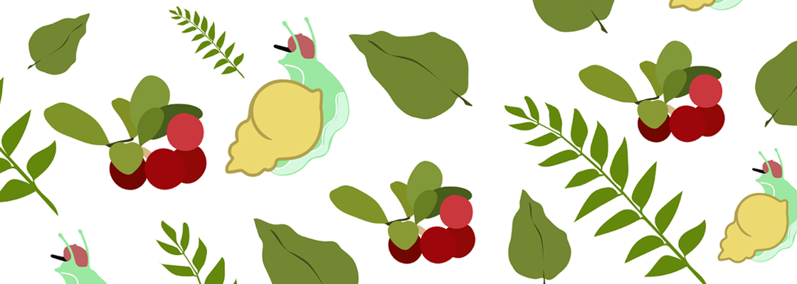 Main %d0%9e%d0%91%d0%9b2