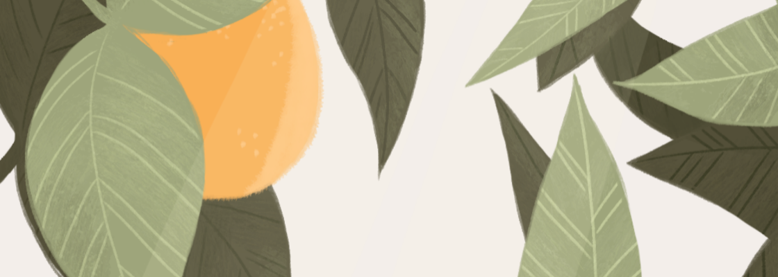 Main %d0%ba%d1%84%d0%be%d0%bd1