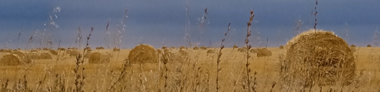 Main img 20220918 151636