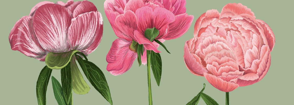 Main 1a155d35 565c 472c 8d61 c38679525cd4