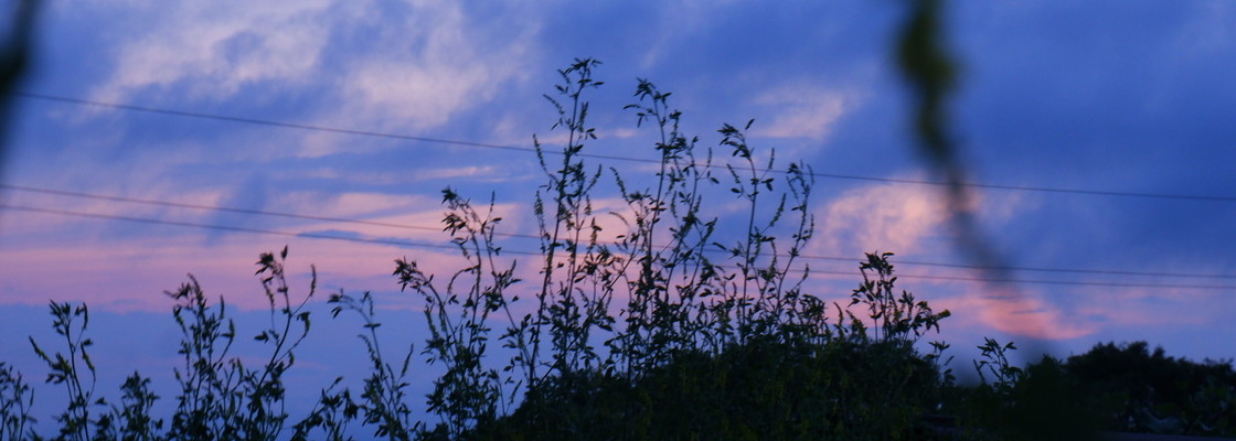 Main 2020 0704 21181700