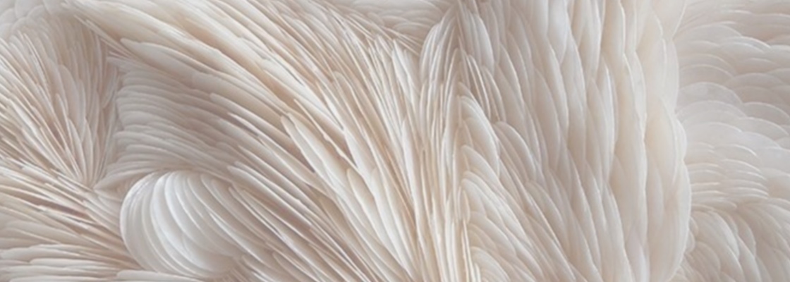 Main %d0%a4%d0%be%d0%bd