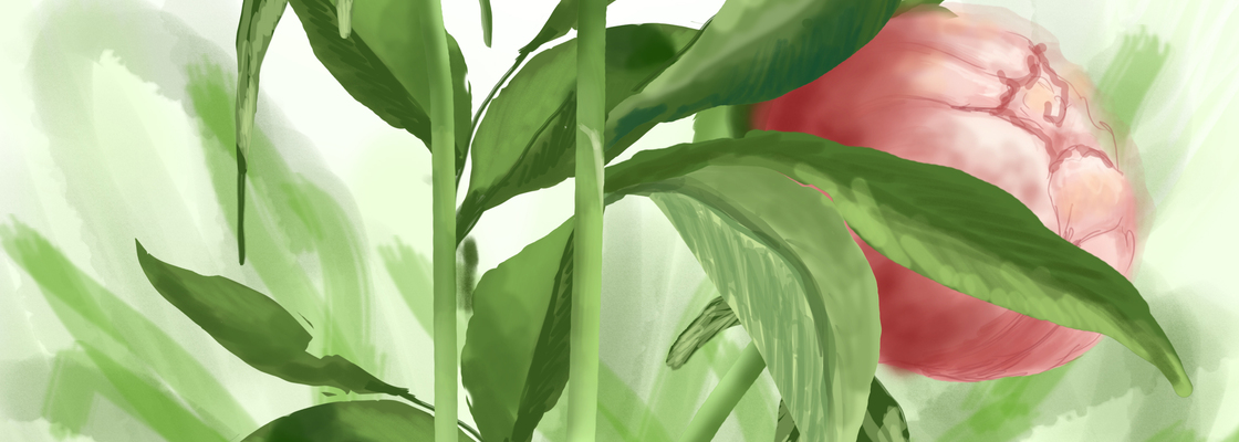 Main %d0%bf%d0%b8%d0%be%d0%bd%d1%8b1%d1%8312