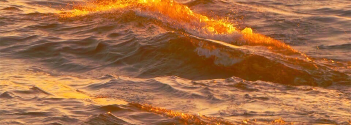 Main b04c69ea f92d 4802 92d4 632a1bad43ef