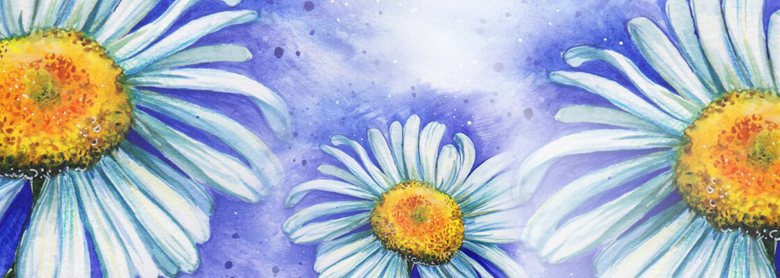 Main %d0%be%d0%b1%d0%bb%d0%be%d0%b6%d0%ba%d0%b0