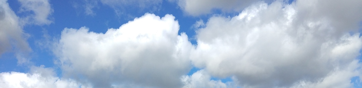 Main img 20220325 143229