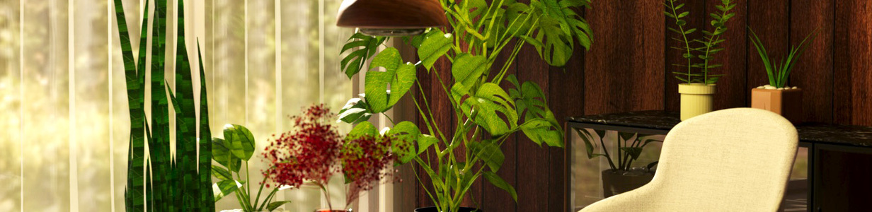 Main img 20250910 150207 427