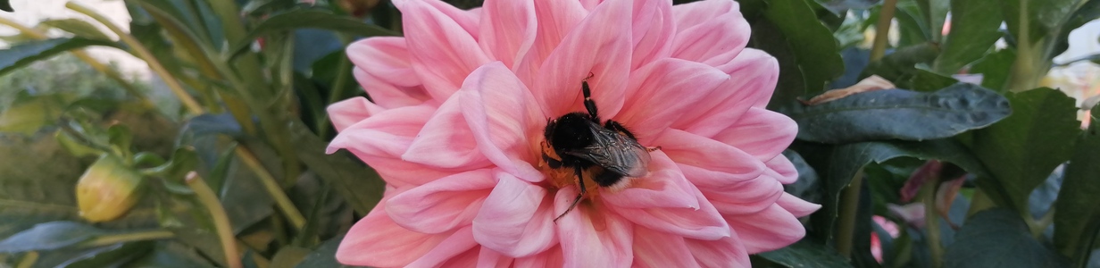 Main img 20220828 174514