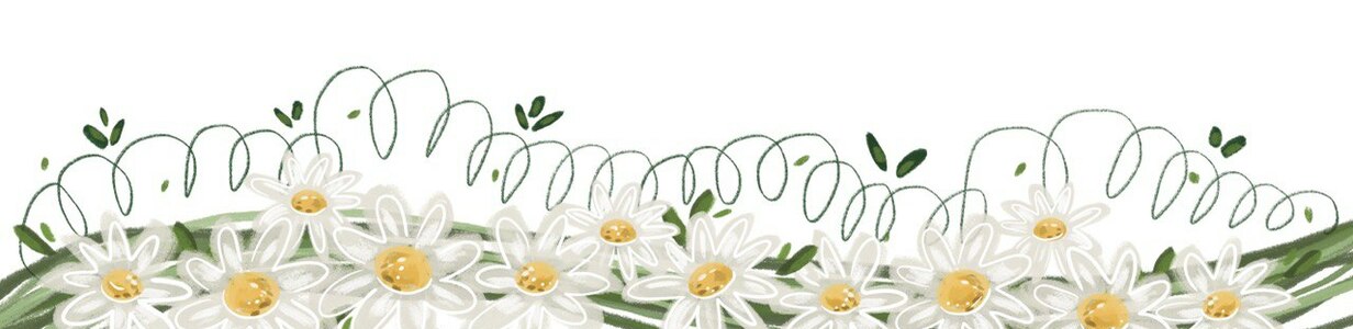 Main photo 2022 12 06 19 34 05