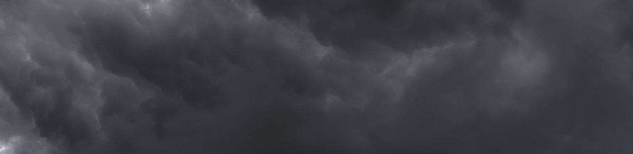 Main img 7822