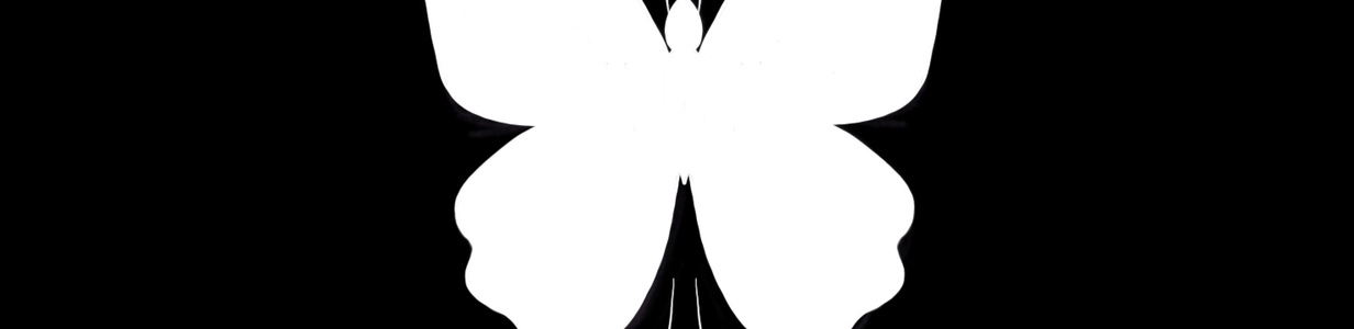 Main img 0238