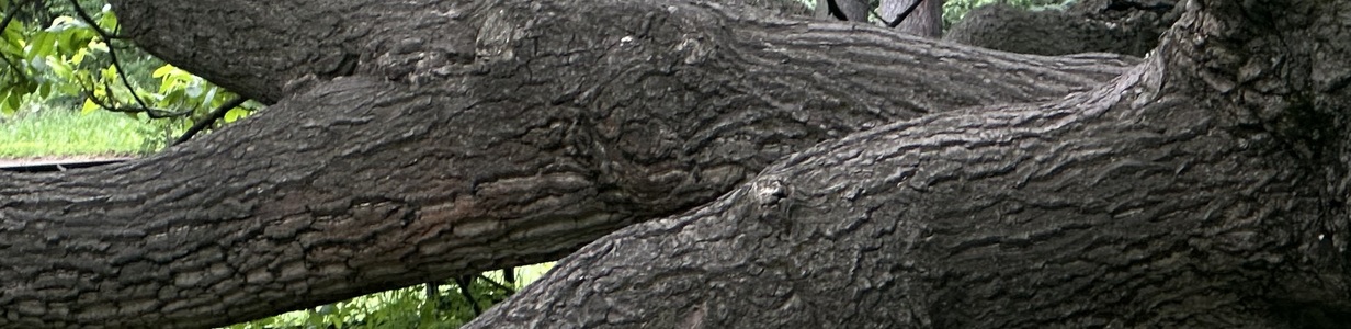 Main img 4930