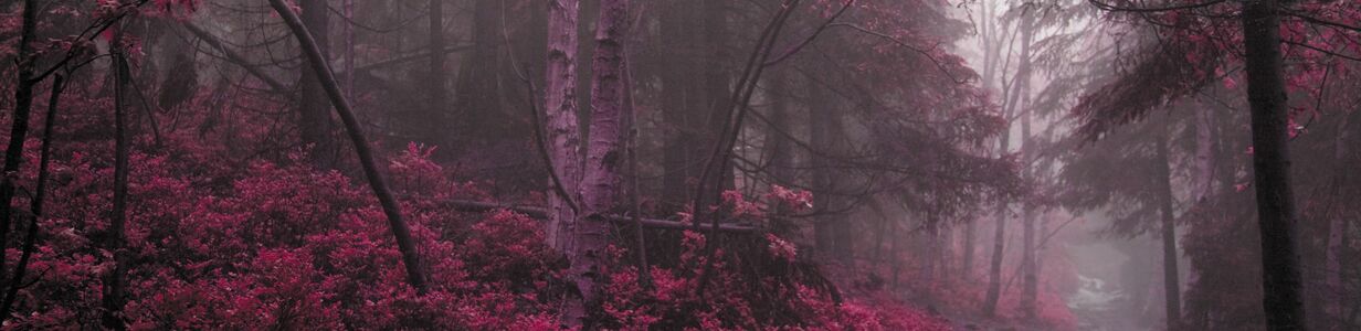 Main 04a8bdfc734d4330df68b1bd19c5bc0d