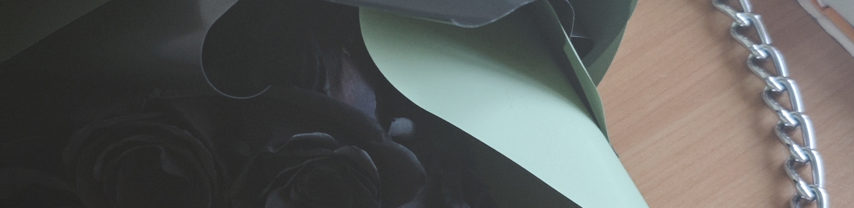 Main img 20251213 122704